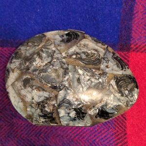 Polished Mother-of-Pearl Decorative Box - Iridescent Black & Cream